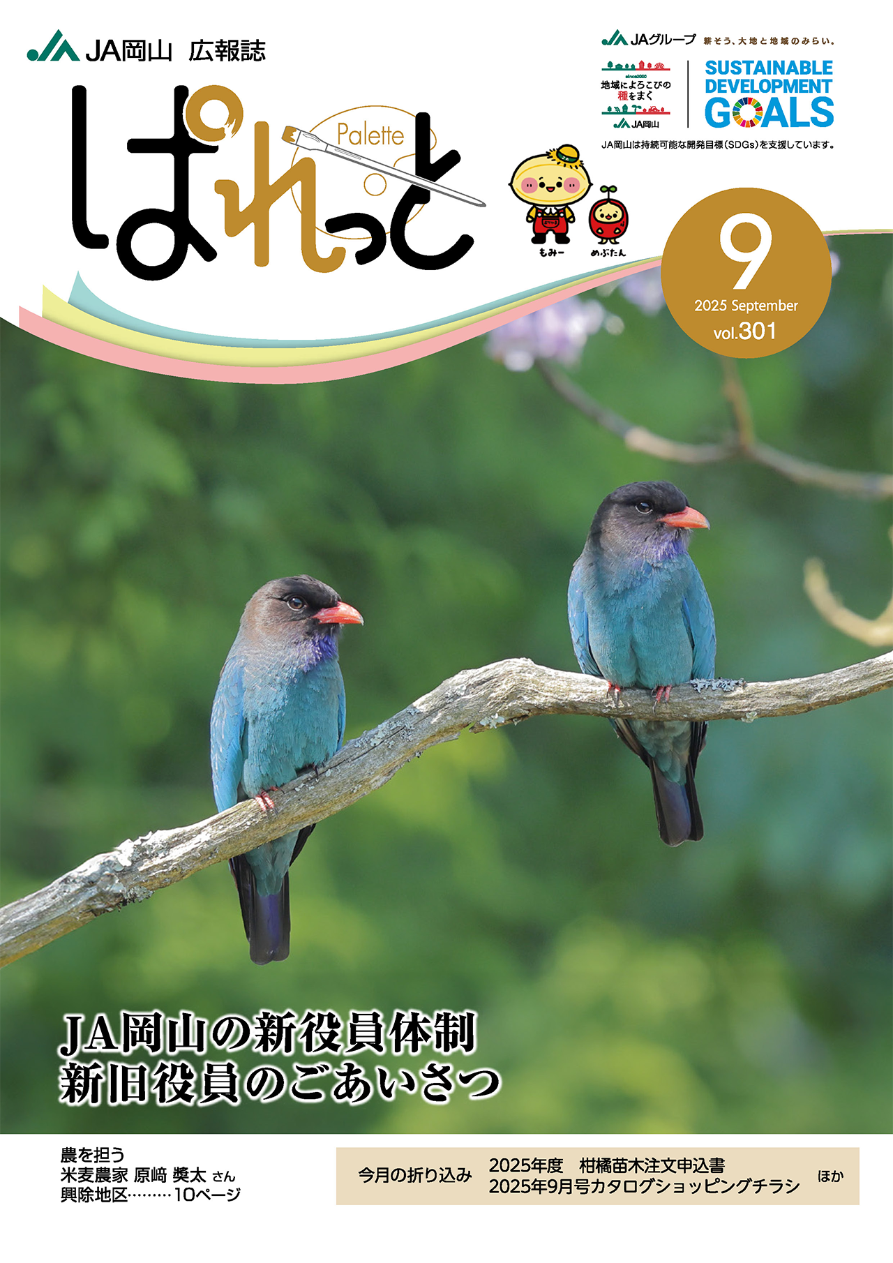表紙