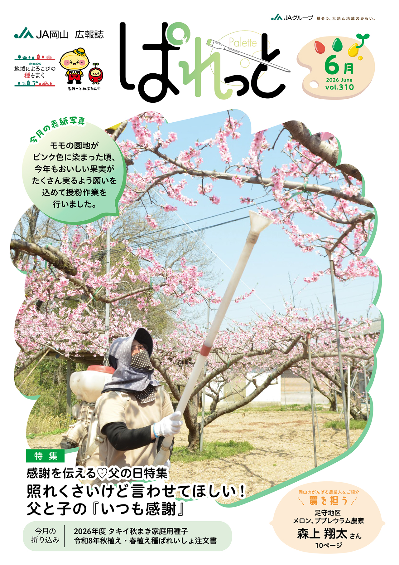 表紙