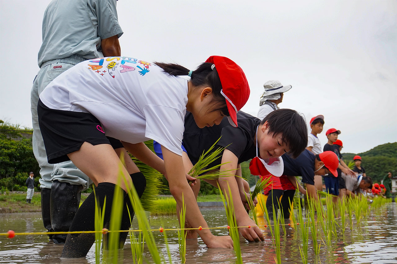 牧石小学校