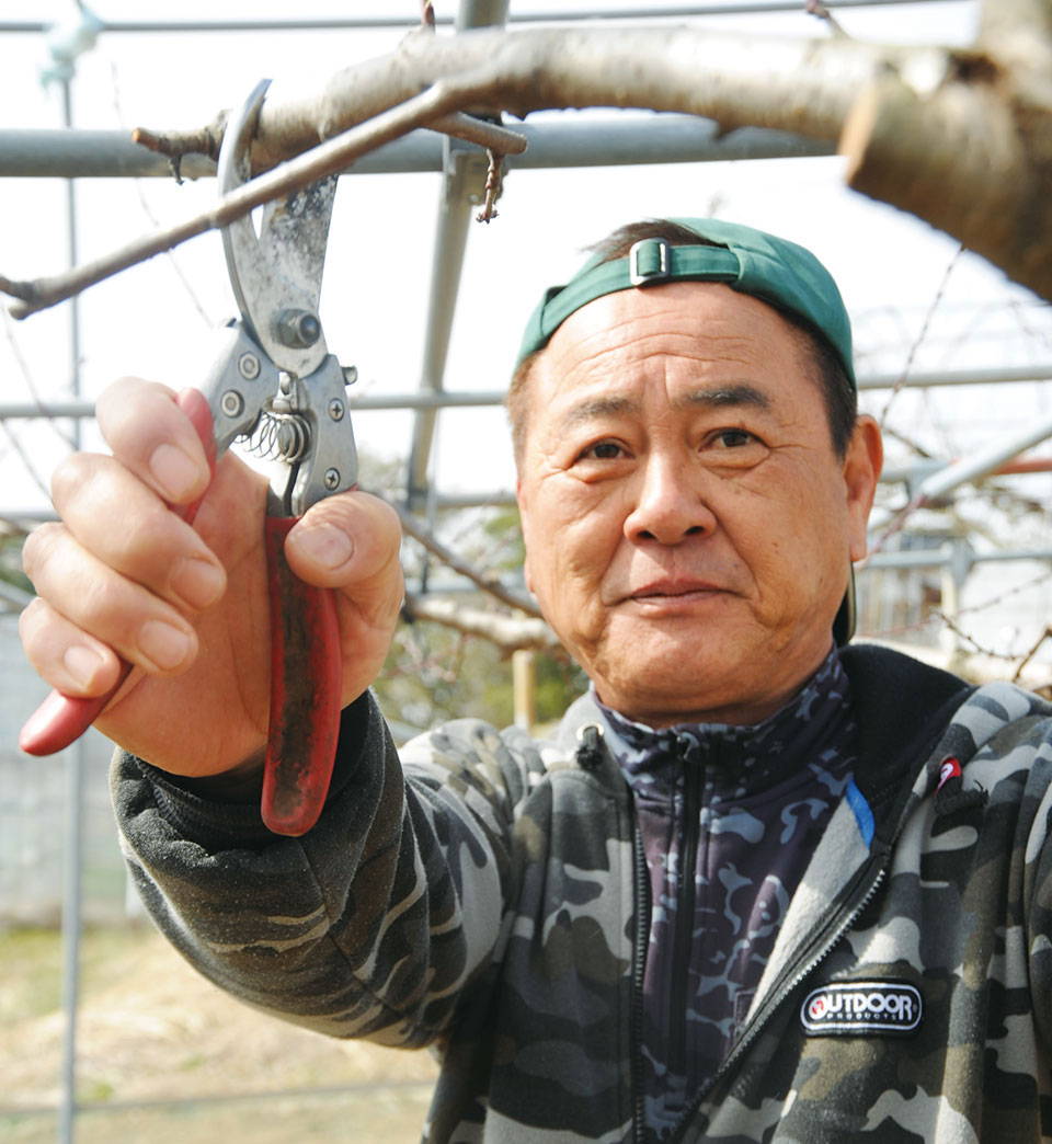 加茂川地区：桃・ブドウ農家 大月 健司さん