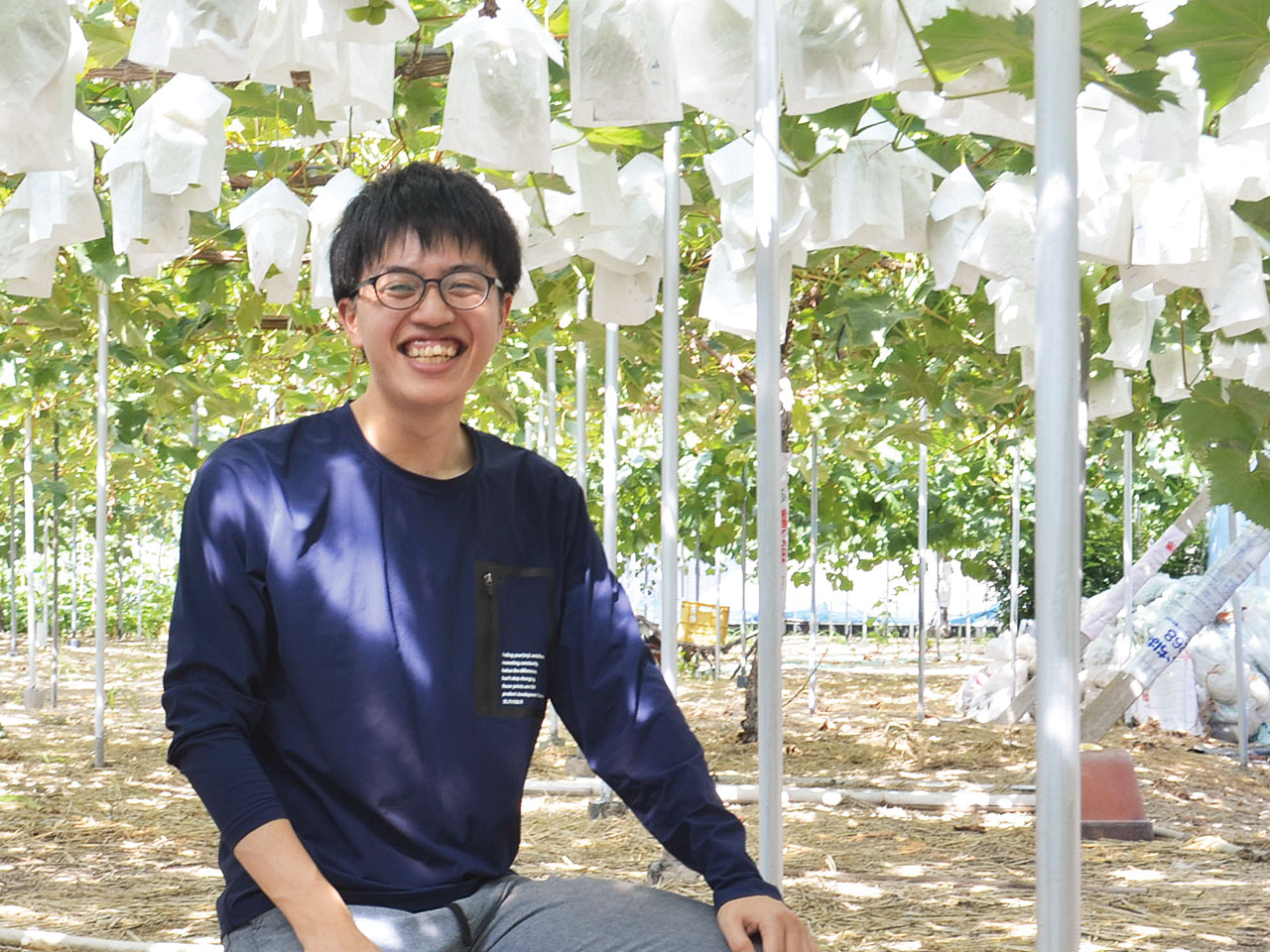 灘崎地区：ブドウ農家　氏家　義太郎さん