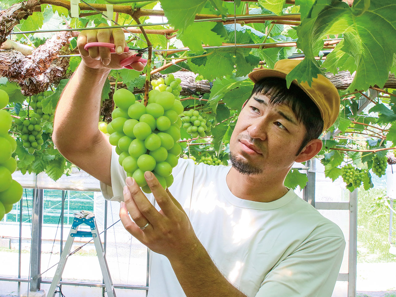 入野　龍之助さん