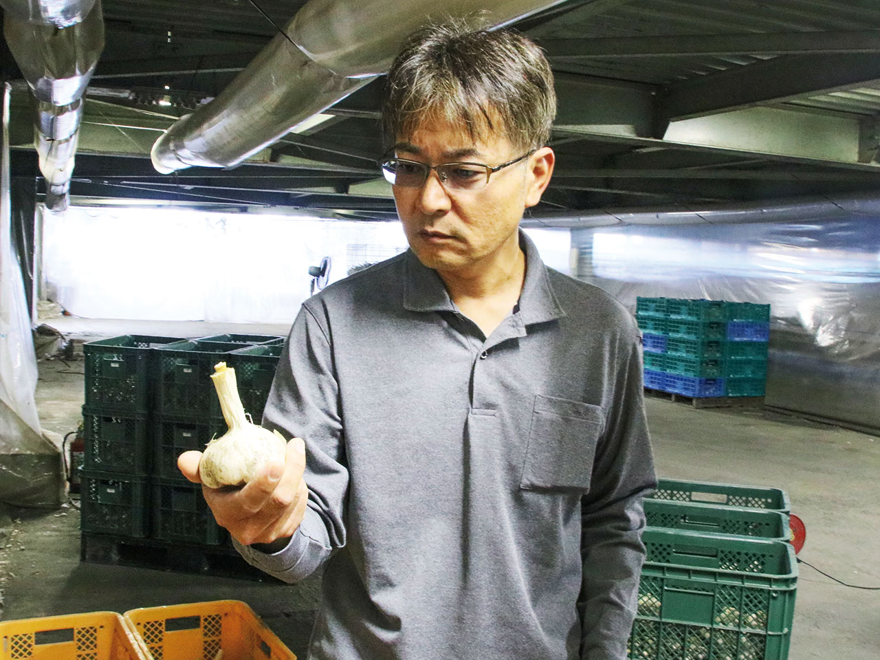 乾燥具合を確認する片山さん