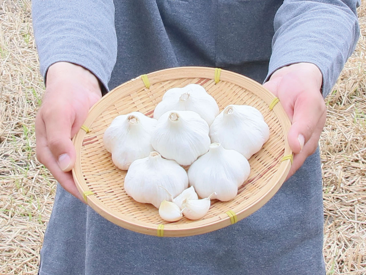 ホイル焼きがおすすめです