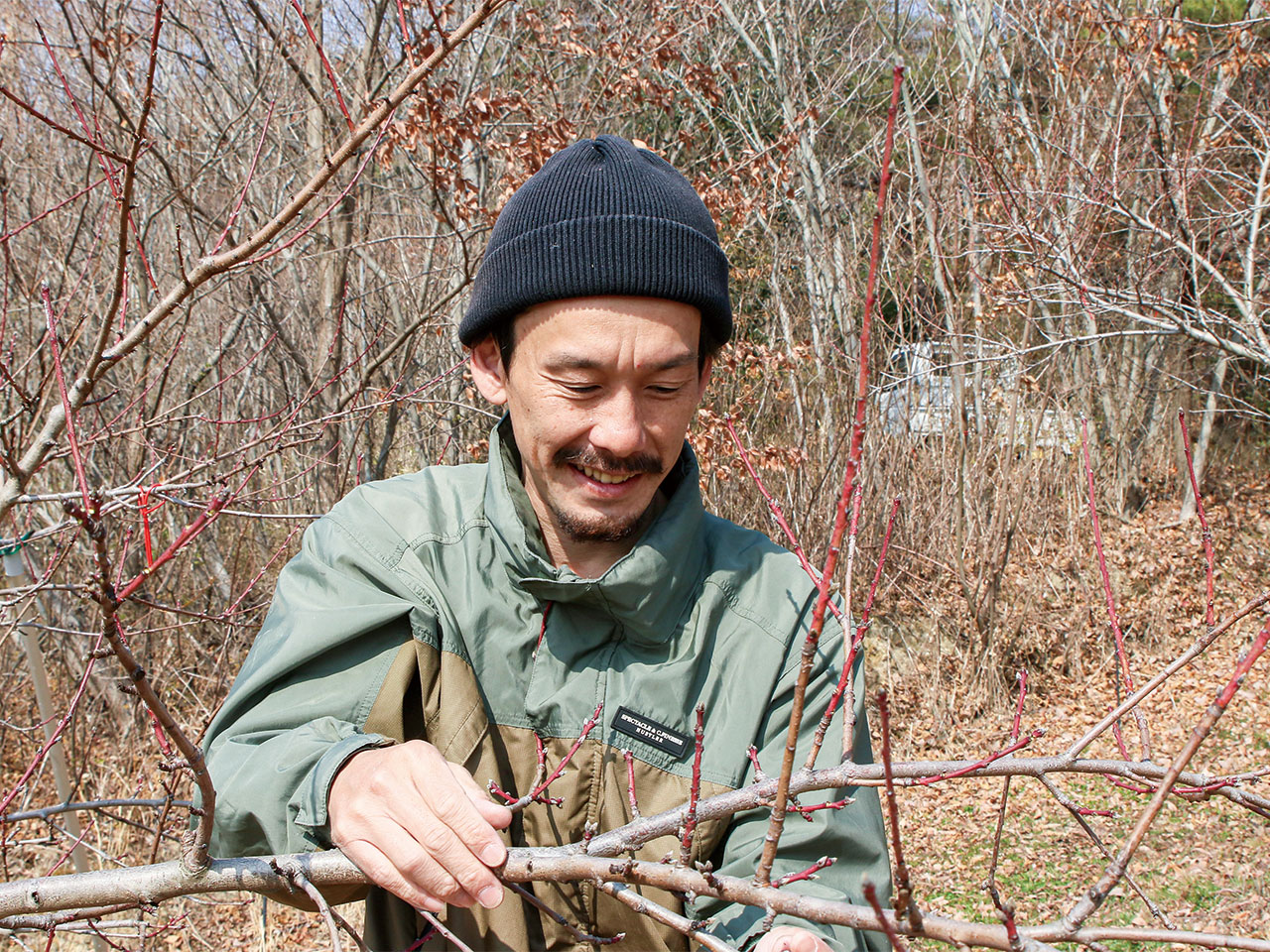 木の状態を見極めることが大事
