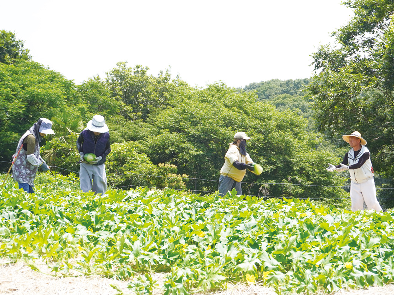 家族4人での連携作業はチームワークの良さが感じられる