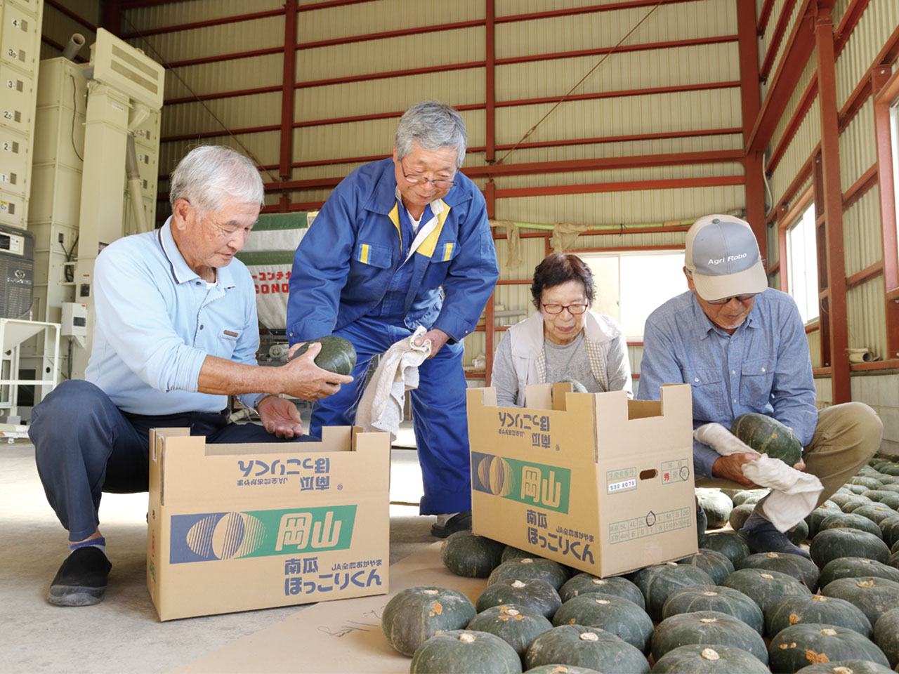 収穫した南瓜の箱詰め作業