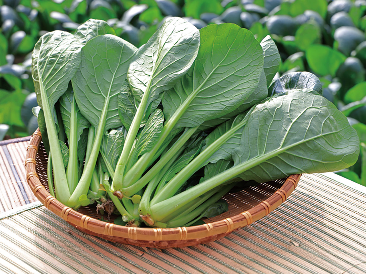 新鮮な小松菜を届けたい