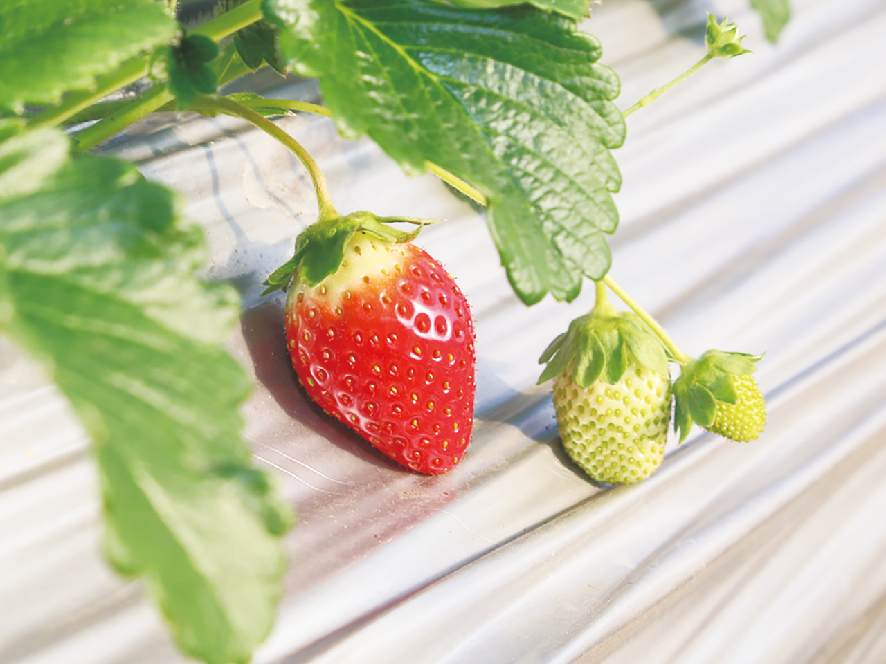 この時が一番の喜び