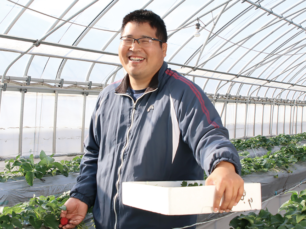 おいしいイチゴを食べてもらいたい