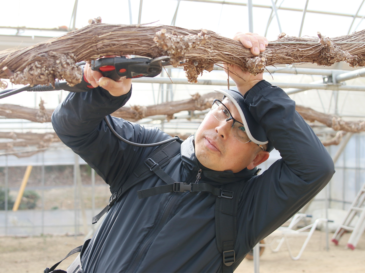 次の栽培に向けてせん定する寒河さん