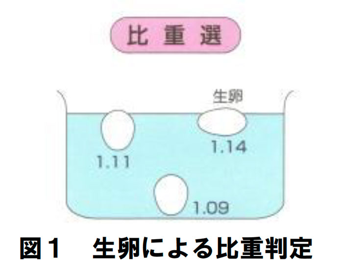 令和２年産水稲の初期管理について 営農情報 Ja岡山