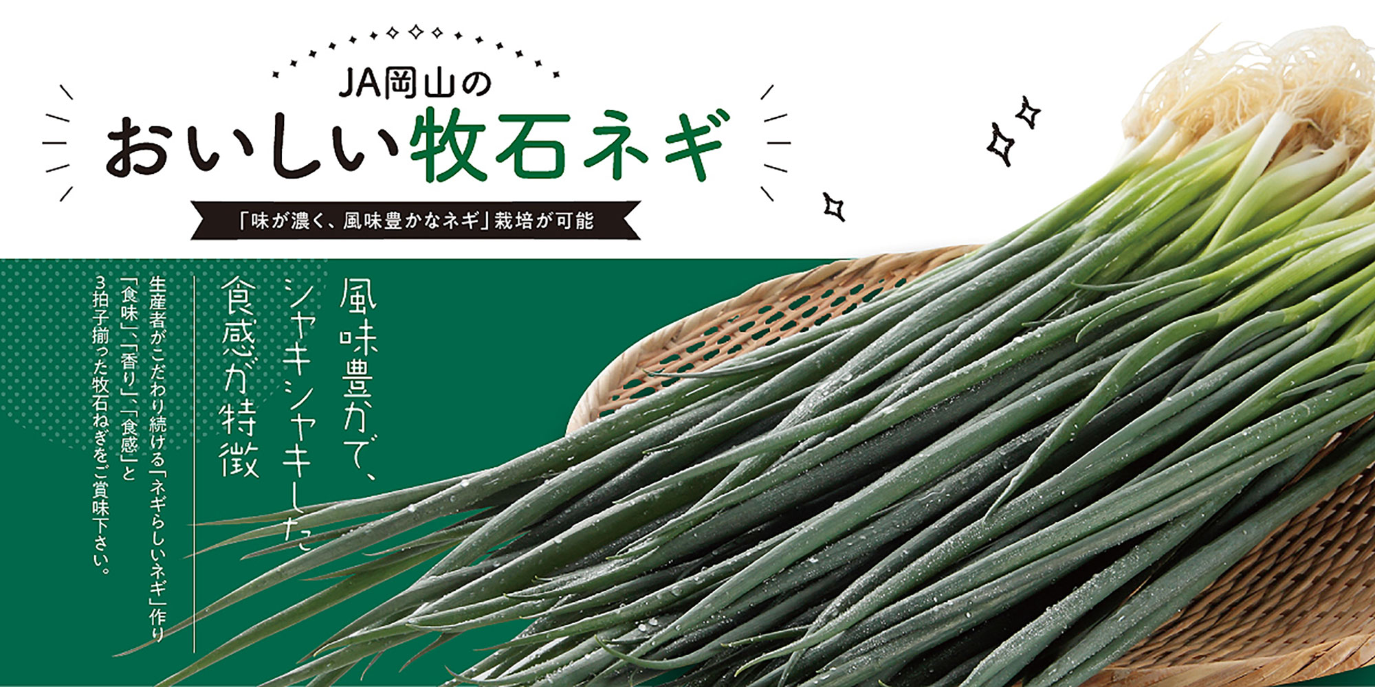 ねぎ