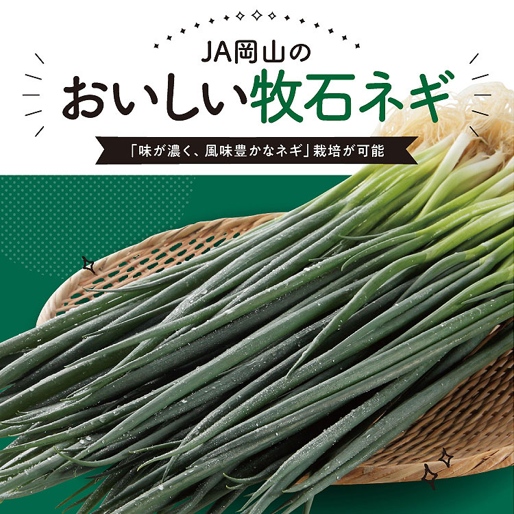 ねぎ