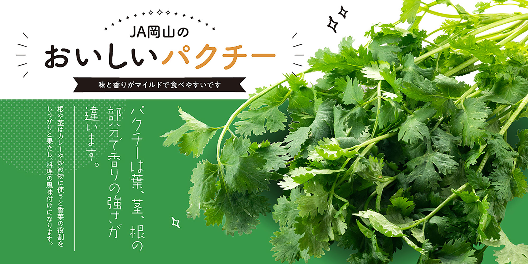 パクチー