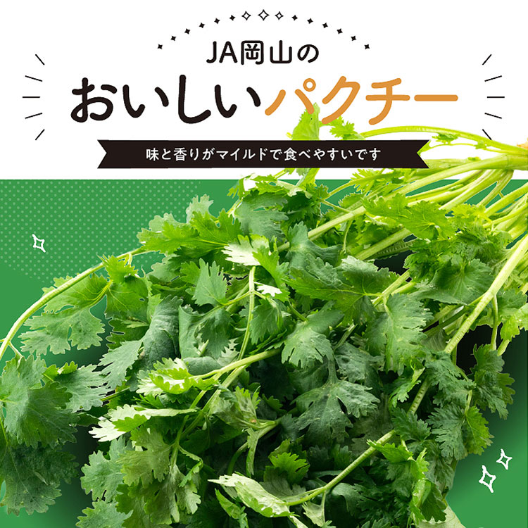 パクチー