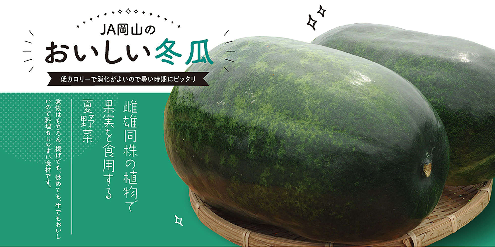 冬瓜