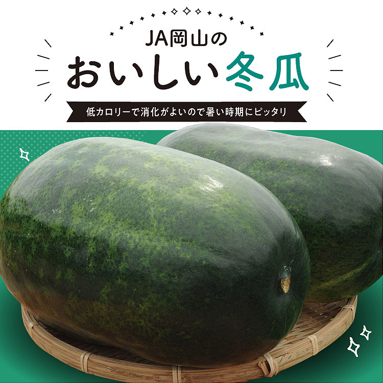 冬瓜