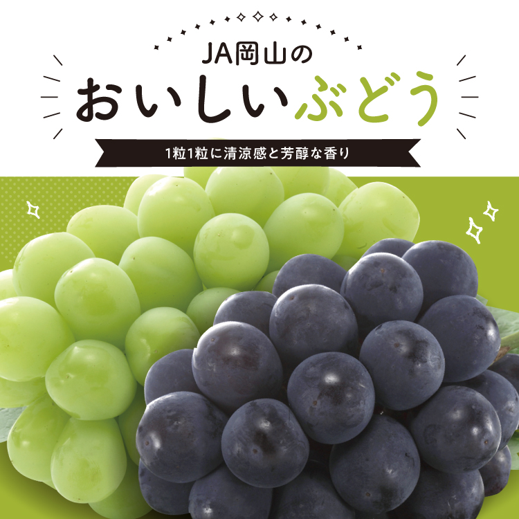 ぶどう