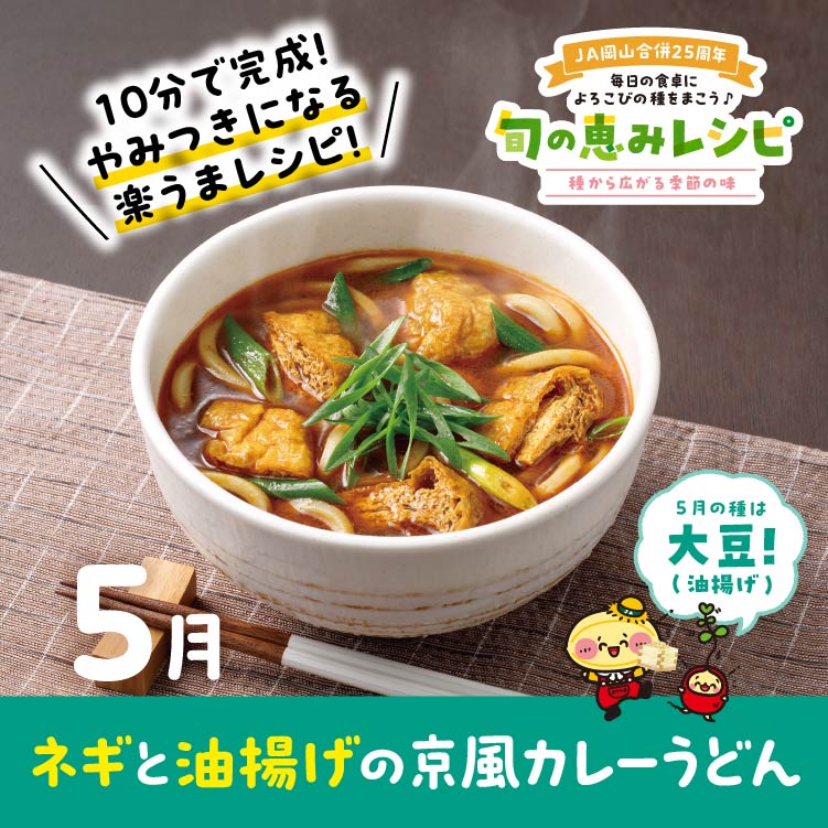 ネギと油揚げの京風カレーうどん